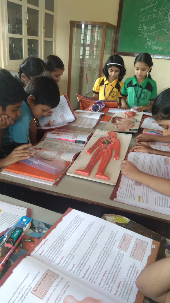 Biology Lab Activity ( Primary Section)